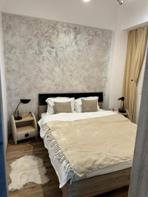 Luxury Young Residence